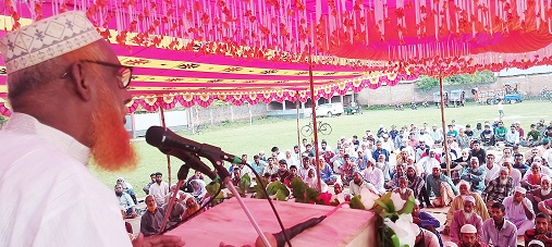 image-here